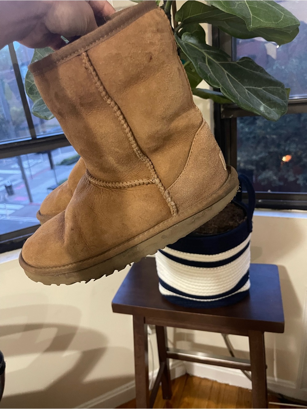 UGG Classic Short Boots Chestnut Tan